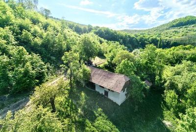 Casă cu 4 camere în Unguraș - 2