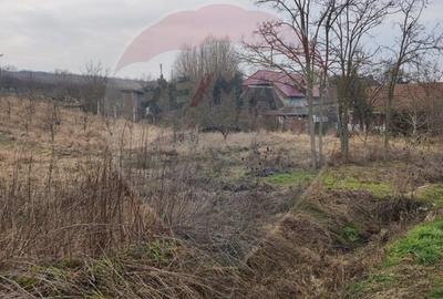 Teren Construcții intravilan de 2341 mp, în Uileacu de Munte - 4