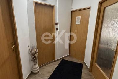 Apartament cu 2 camere decomandat, mobilat în Găvana 3 - 4