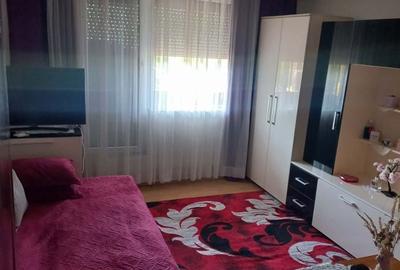 Apartament cu 2 camere decomandat în Șuncuiuș - 4