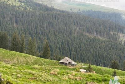 SUPER OPORTUNITATE, DE VANZARE O PROPRIETATE SPECIALA, MUNTELE VARFUL GROAPELE , - 1
