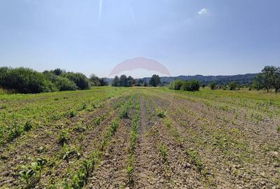 DE VANZARE Teren intravilan ?i?e?ti, Maramure? (... - 2