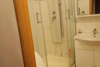 Apartament cu 4 camere decomandat în Craiovița Nouă - 9