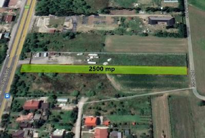 Teren intravilan 2500mp Ciolpani