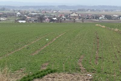 Teren Construcții intravilan de 3255 mp, în Grănicești - 4