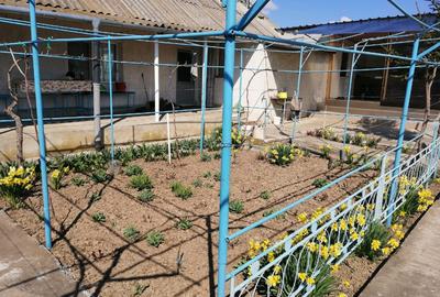 Casă individuală cu 2 camere cu Teren 2800 Mp în Beștepe - 1