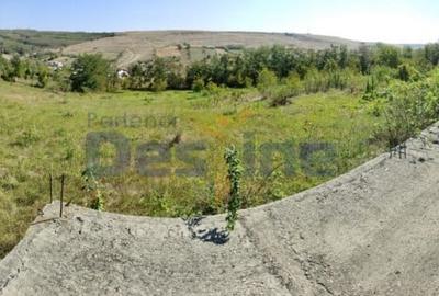 Casa langa PĂDURE + anexe + 6400 mp TEREN intravilan - sat HĂRPĂȘEȘTI - 17