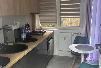 Apartament cu 2 camere semidecomandat, mobilat în Câmpia Libertății - 3