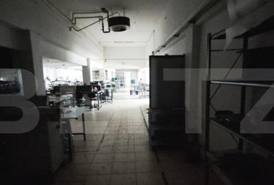 Oportunitate! Teren intravilan 20000 mp si spatiu industrial - 8