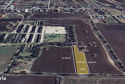 Teren de 48300 mp, în Butimanu - 3