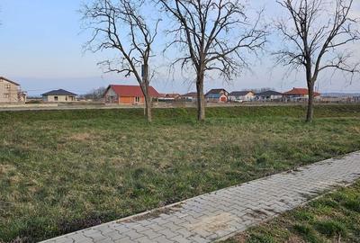 Teren de 21600 mp, în Gepiu - 8
