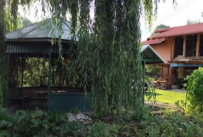 Breaza, casa P+M, teren 900 mp, zona linistita - 7