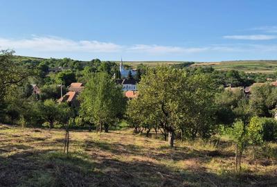 Casă cu 3 camere în Filea de Jos - 2