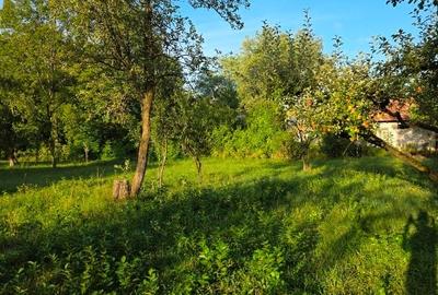 Teren intravilan de 2500 mp, în Breaza de Jos - 11