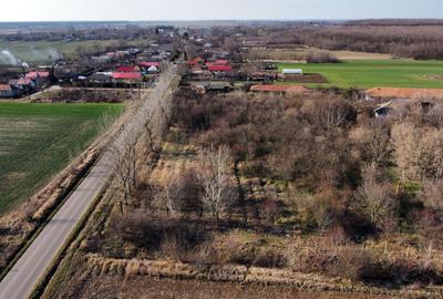 Teren Construcții intravilan de 70291 mp, în Micșunești-Moară - 12