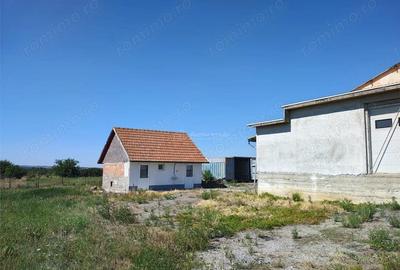 Spațiu comercial, de 972 mp, în Mișca - 10