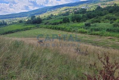 Teren de vanzare intravilan - Zona Sopor - 4