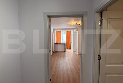 Garsoniera complet renovata, 31 mp, Brazda lui Novac - 4