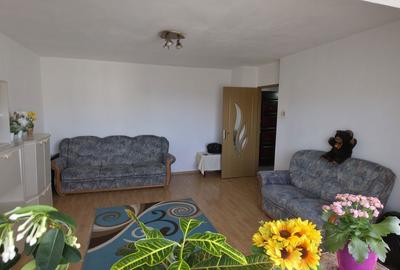 Apartament cu 2 camere decomandat, mobilat în Steaua - 10