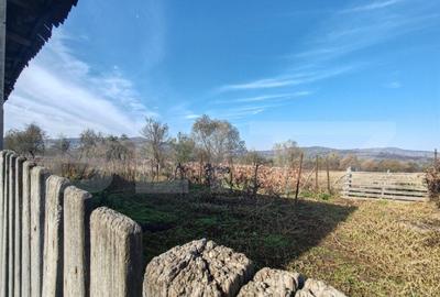 Casa familiala cu anexe gospoadaresti si teren in suprafata - 3