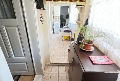 Casă cu 2 camere cu Teren 391 Mp în Vest - 2
