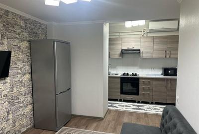 Apartament cu 2 camere de inchiriat in zona Blumana - 2