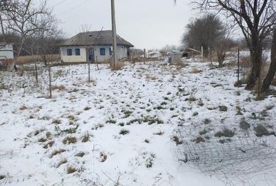 Hala pe Structura Metalica+ Casabatraneasca + 4800 m2 - 4