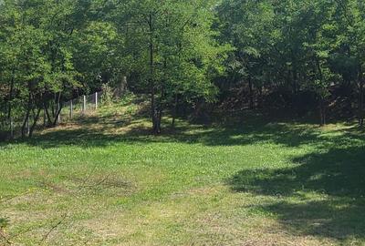 Spațiu comercial, în Nicolae Bălcescu - 6