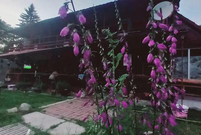 Un colt de paradis in Bucegi - 2