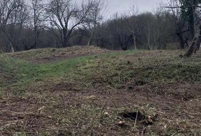 Casă cu 2 camere în Brazii - 2