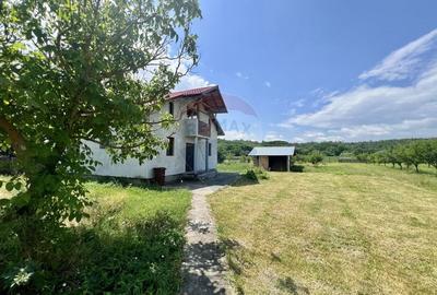 Casă cu potențial într-un cadru natural de excepție – Mares, Albota - 4