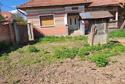 Casă cu 4 camere cu Teren 2000 Mp în Gura Văii - 2