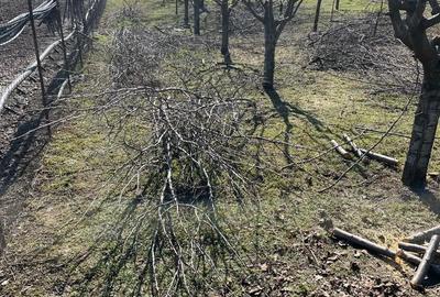 Casă cu Teren 2500 Mp în Berceni