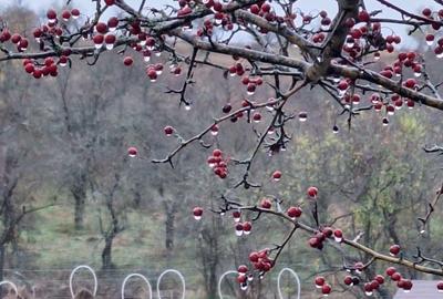 Teren de 1000 mp, în Tufeni - 5