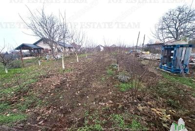 Teren Intravilan Moara Vlasiei 963 mp, Zona Superba, - 2