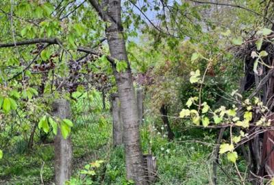 Casă cu 2 camere cu Teren 714 Mp în Siret - 5