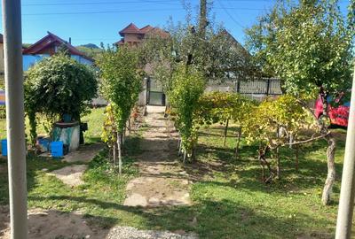 Casa de vanzare 20.000 euro usor Negociabil 1073mp Casa este locuibil - 7