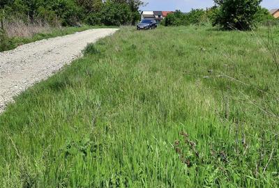 Teren de 554 mp, în Săftica - 2