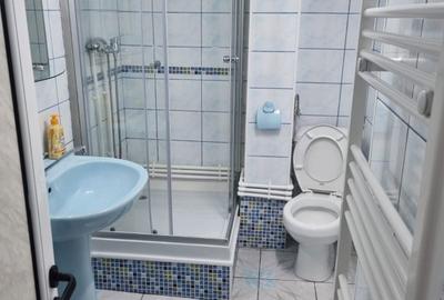 Garsonieră decomandată în Ultracentral - 3