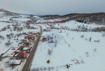Casă cu 4 camere din cărămidă, de vânzare în zona Bratca-Damiș - 45