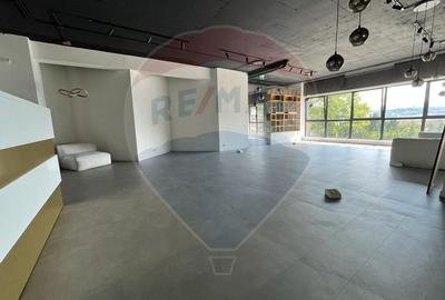 Spatiu comercial Vanzare cu Chiriasi | Taietura Turcului - 2