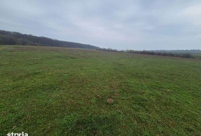 Teren de 10070 mp, în Mitocu Dragomirnei - 4