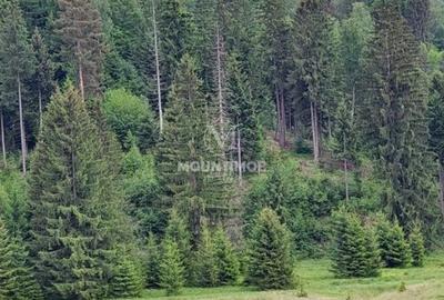 Teren intravilan în Poiana Brașov, 0% COMISION - 4