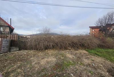 TEREN INTRAVILAN 10.700 mp  DE VANZARE  IN TG.OCNA - 3