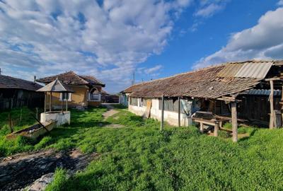 Casă cu 3 camere în Hotărani - 1