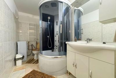 Apartament de inchiriat cu o camera - zona Girocului-Drubeta - 13