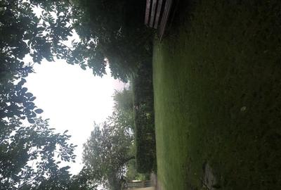 Teren cu iesire la lac si casa in stil brancovenesc - 11