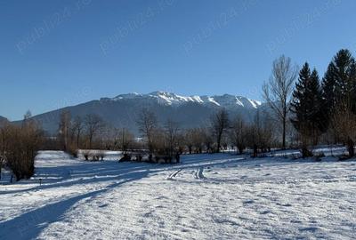 Teren de 500 mp, în Tohănița - 10