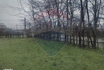 Spațiu comercial, în Cocora - 9