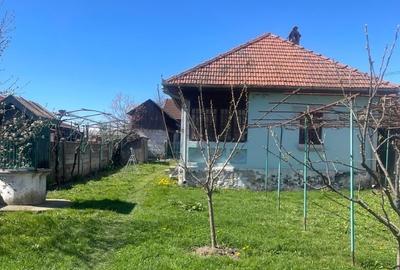 LICITATIE PUBLICA  IMOBIL CU POTENTIAL TURISTIC IN ZONA MONTANA NOVACI  TEREN - 2